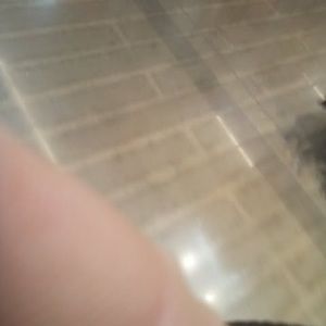 Meet your Posher, Jaz